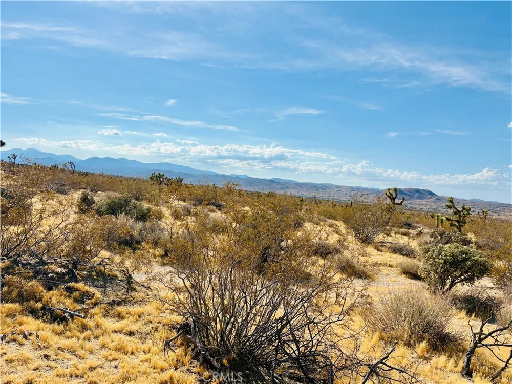 7454 Olympic Joshua Tree, CA 92252