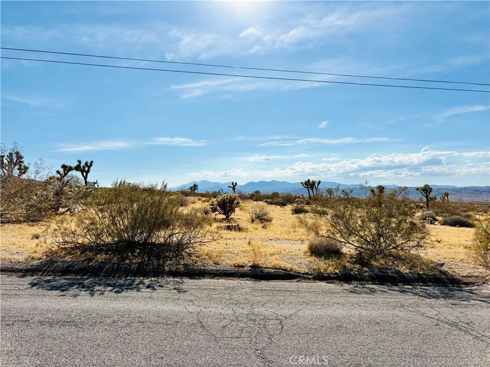 7454 Olympic Joshua Tree, CA 92252
