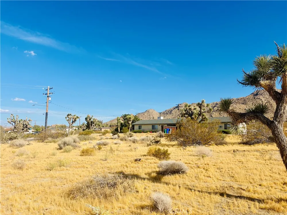 7454 Olympic Joshua Tree, CA 92252