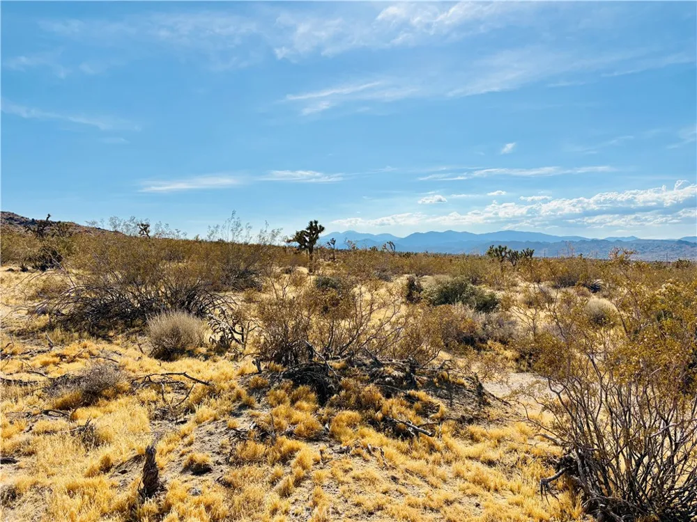 7454 Olympic Joshua Tree, CA 92252