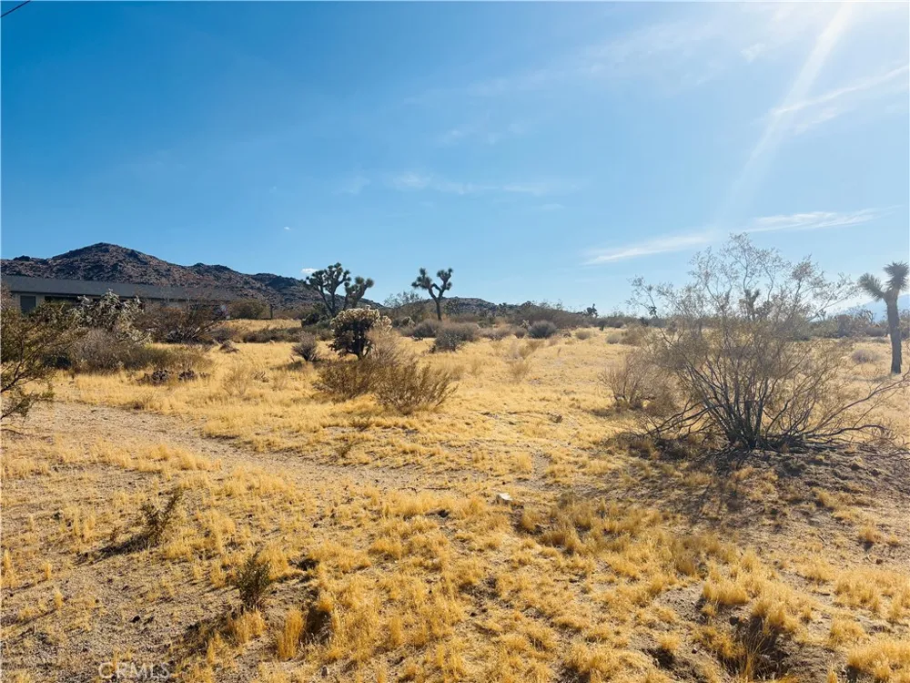 7454 Olympic Joshua Tree, CA 92252