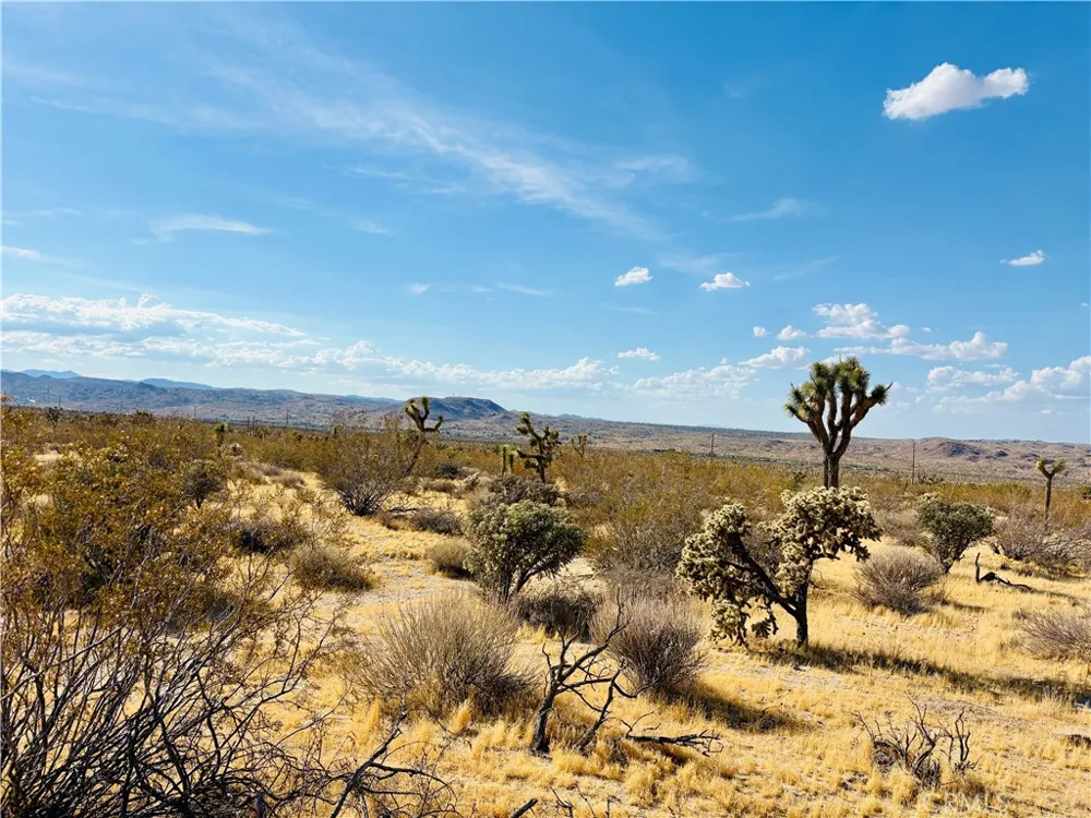 7454 Olympic Joshua Tree, CA 92252
