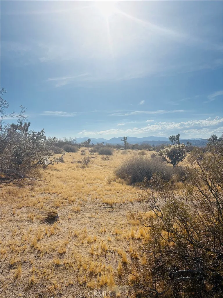 7454 Olympic Joshua Tree, CA 92252