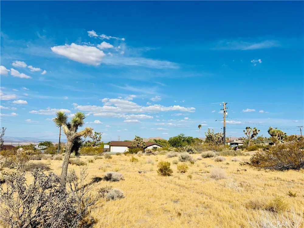 7454 Olympic Joshua Tree, CA 92252