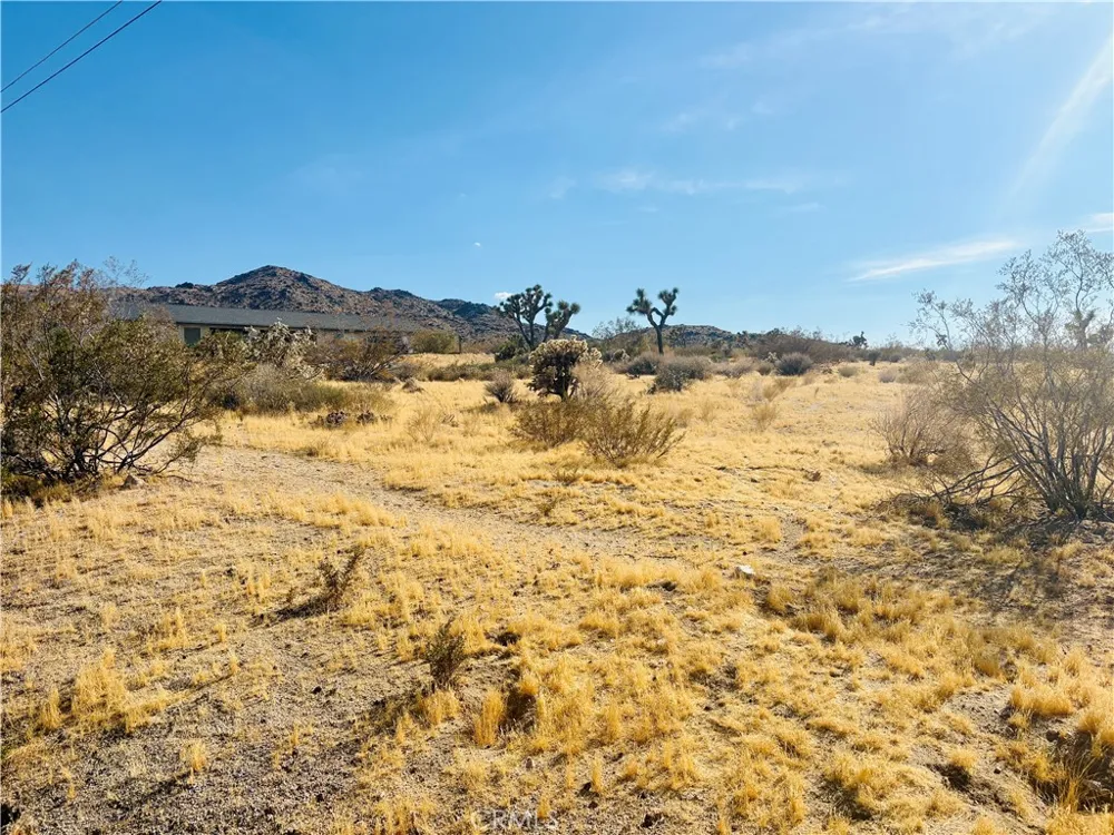7454 Olympic Joshua Tree, CA 92252