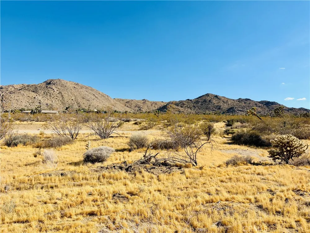 7454 Olympic Joshua Tree, CA 92252