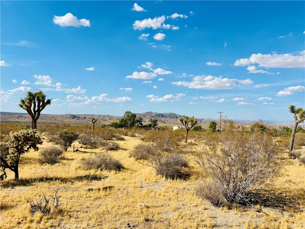 7454 Olympic Joshua Tree, CA 92252