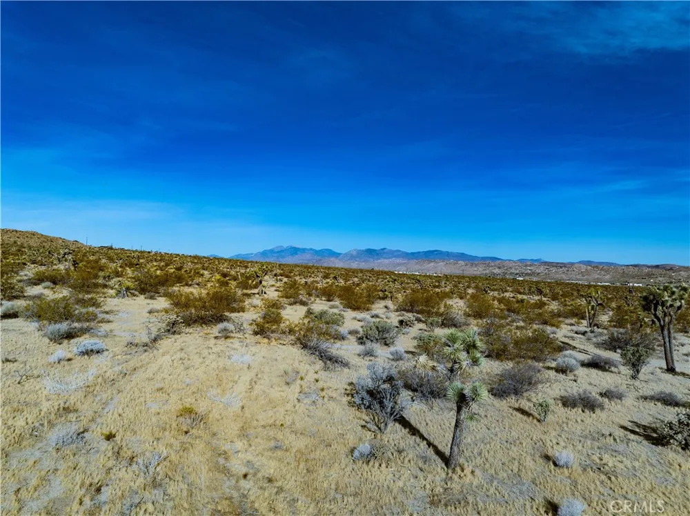7454 Olympic Joshua Tree, CA 92252