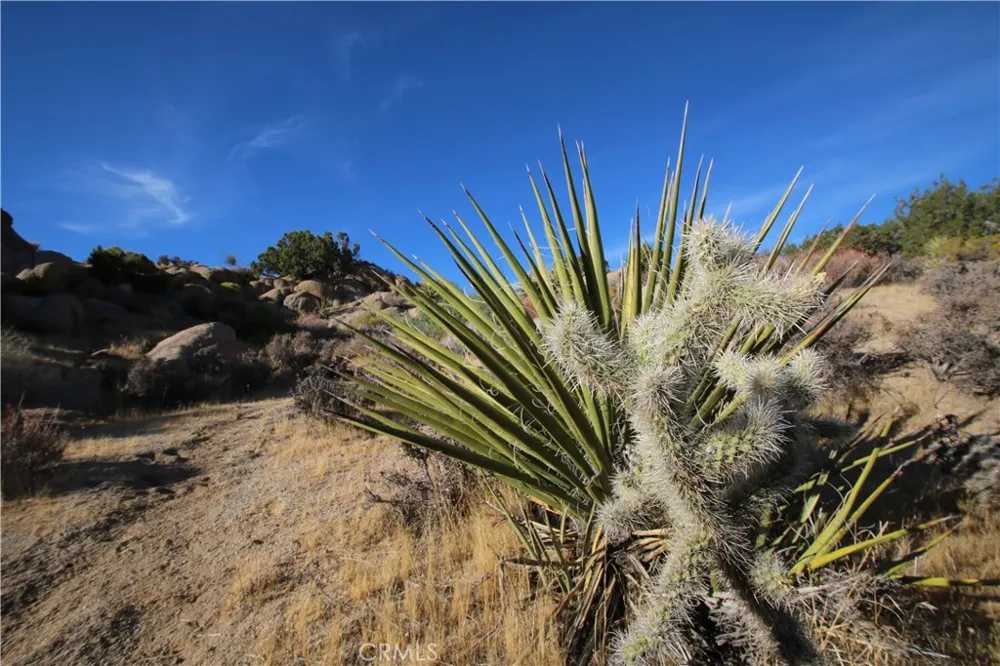 Mirlo Road Yucca Valley, CA 92284