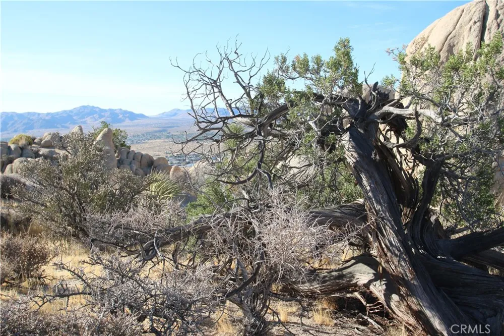 Mirlo Road Yucca Valley, CA 92284