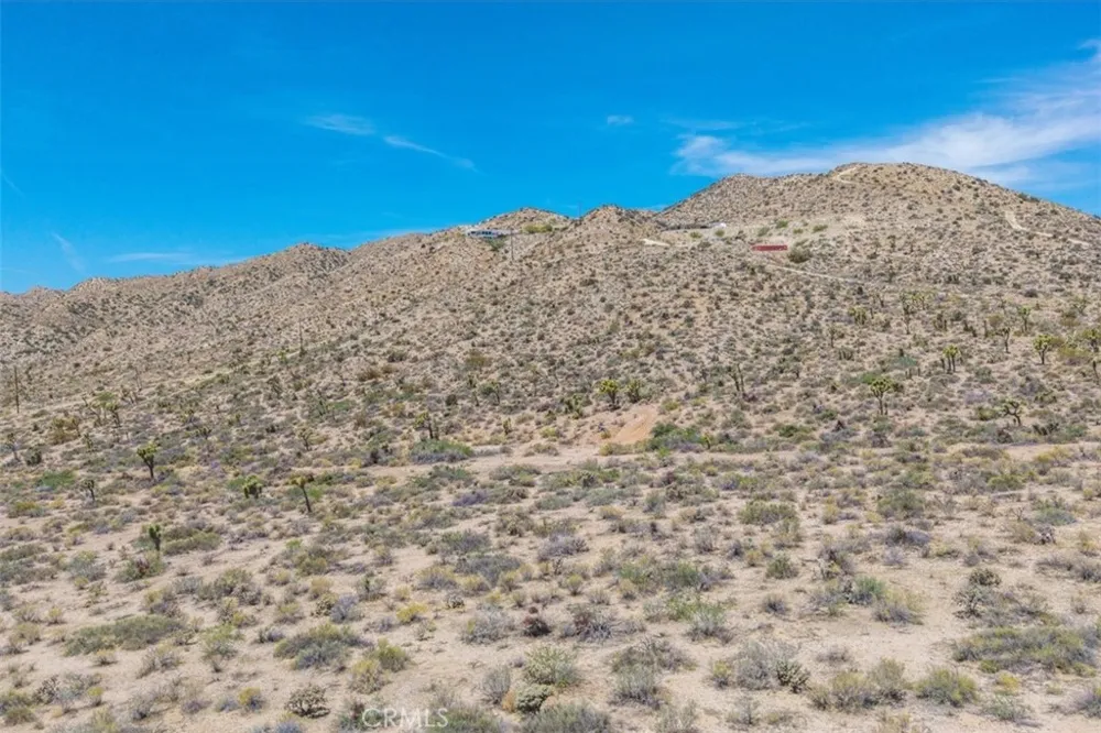 55652 Buena Vista Drive Yucca Valley, CA 92284
