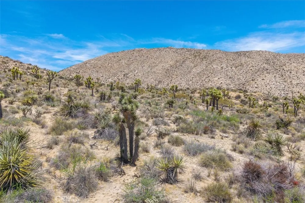 55652 Buena Vista Drive Yucca Valley, CA 92284