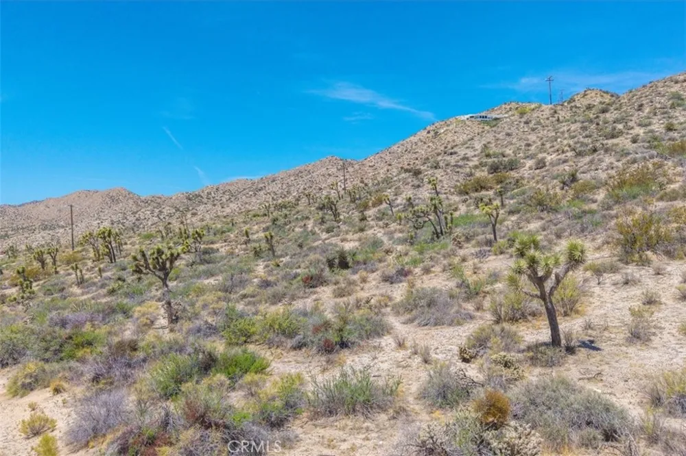 55652 Buena Vista Drive Yucca Valley, CA 92284