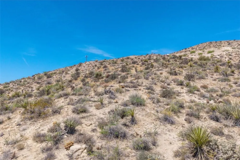55652 Buena Vista Drive Yucca Valley, CA 92284