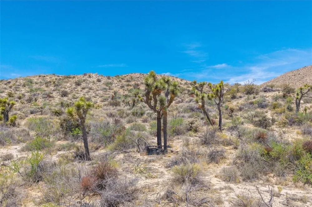55652 Buena Vista Drive Yucca Valley, CA 92284