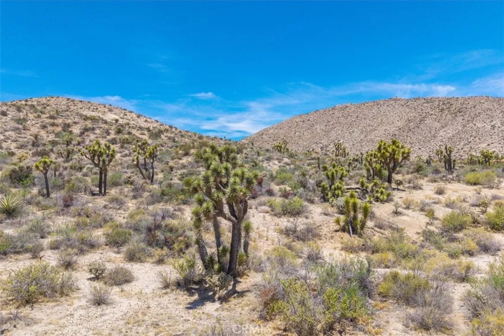 55652 Buena Vista Drive Yucca Valley, CA 92284