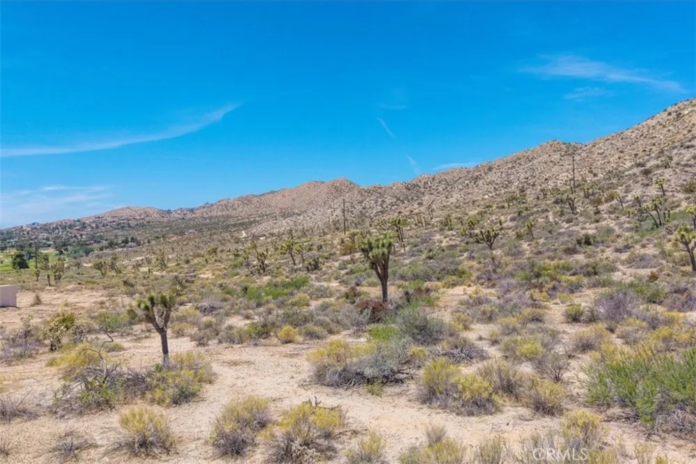 55652 Buena Vista Drive Yucca Valley, CA 92284