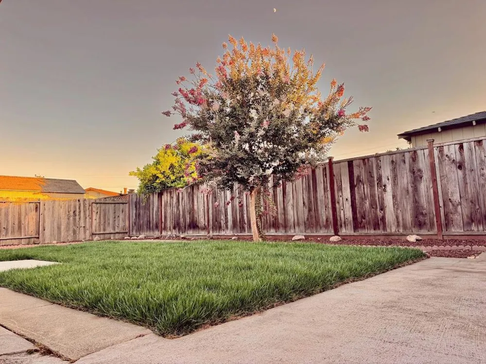 36623 Ruschin Drive Newark, CA 94560
