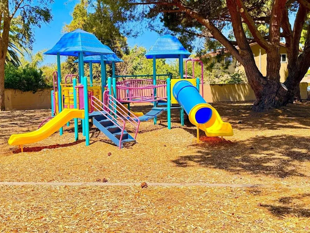 36623 Ruschin Drive Newark, CA 94560