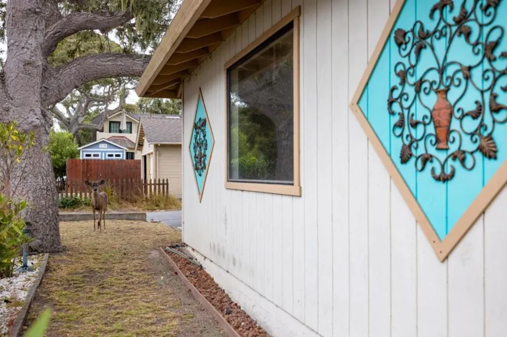 917 Fountain Avenue Pacific Grove, CA 93950