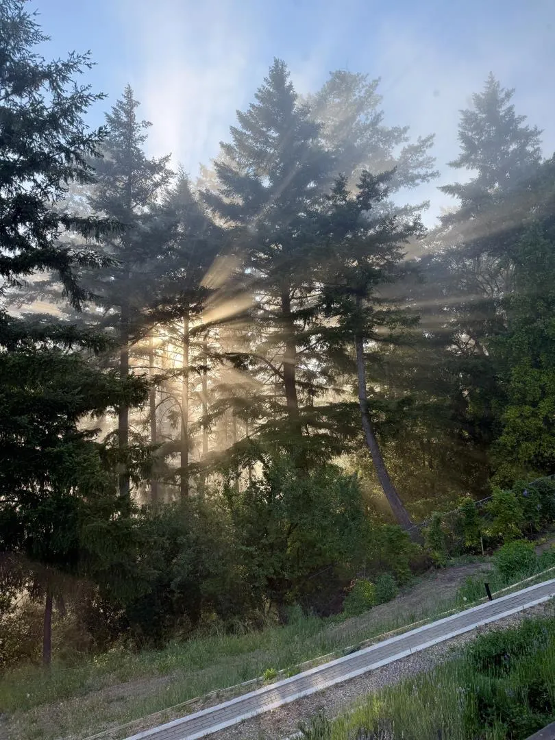 13755 Skyline Boulevard Los Gatos, CA 95033