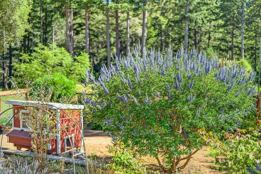 310 Winter Creek Road Santa Cruz, CA 95060