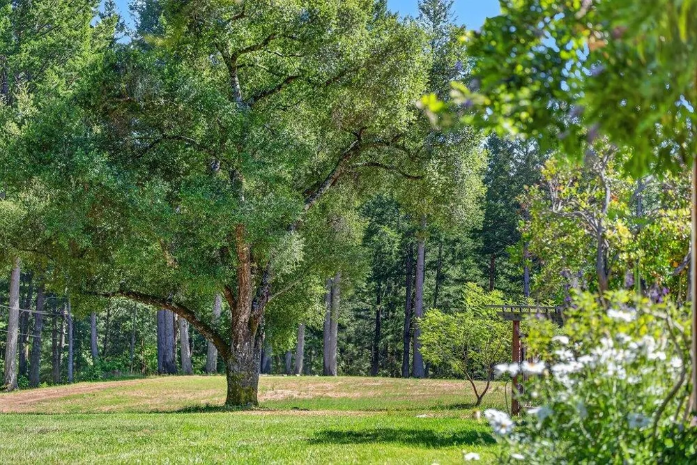 310 Winter Creek Road Santa Cruz, CA 95060