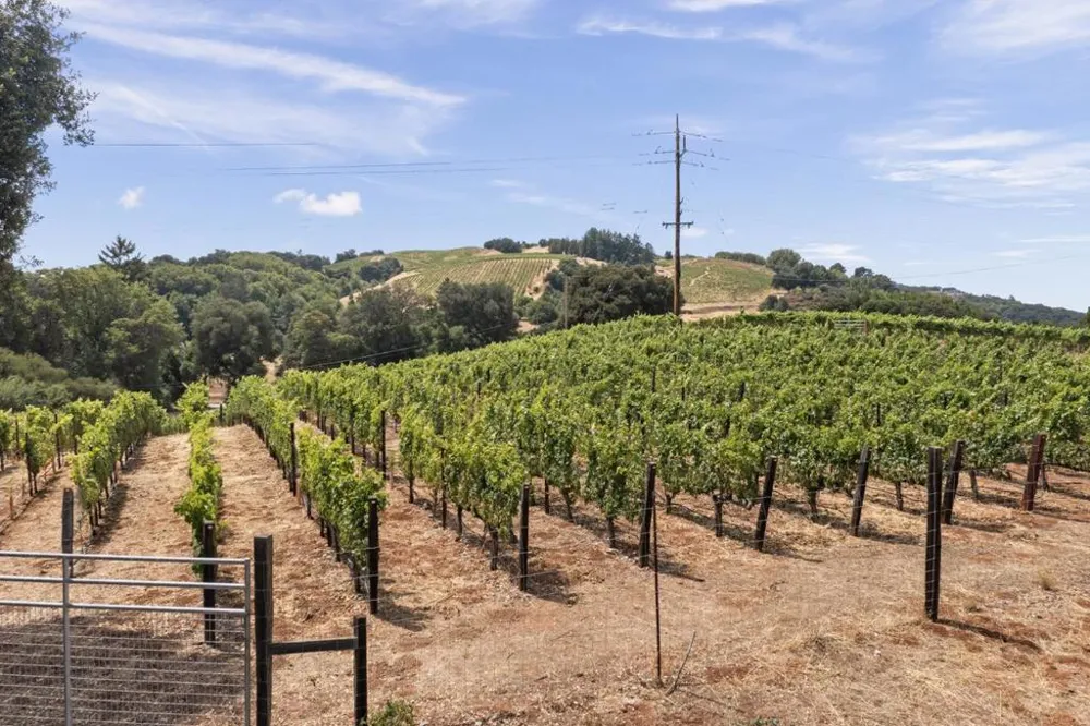 15060 Montebello Road Cupertino, CA 95014