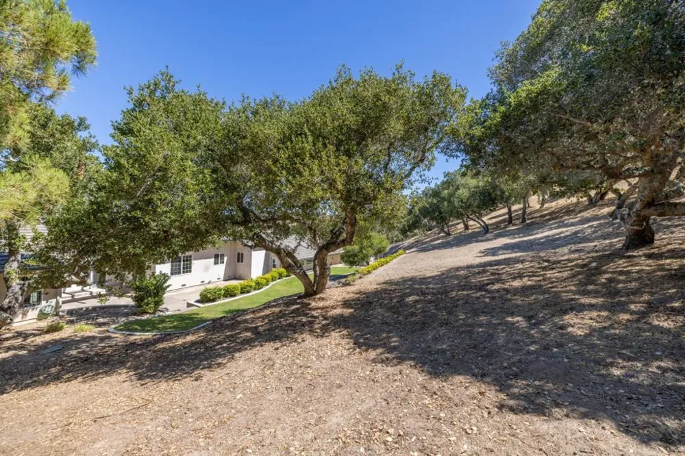 28951 Falcon Ridge Salinas, CA 93908