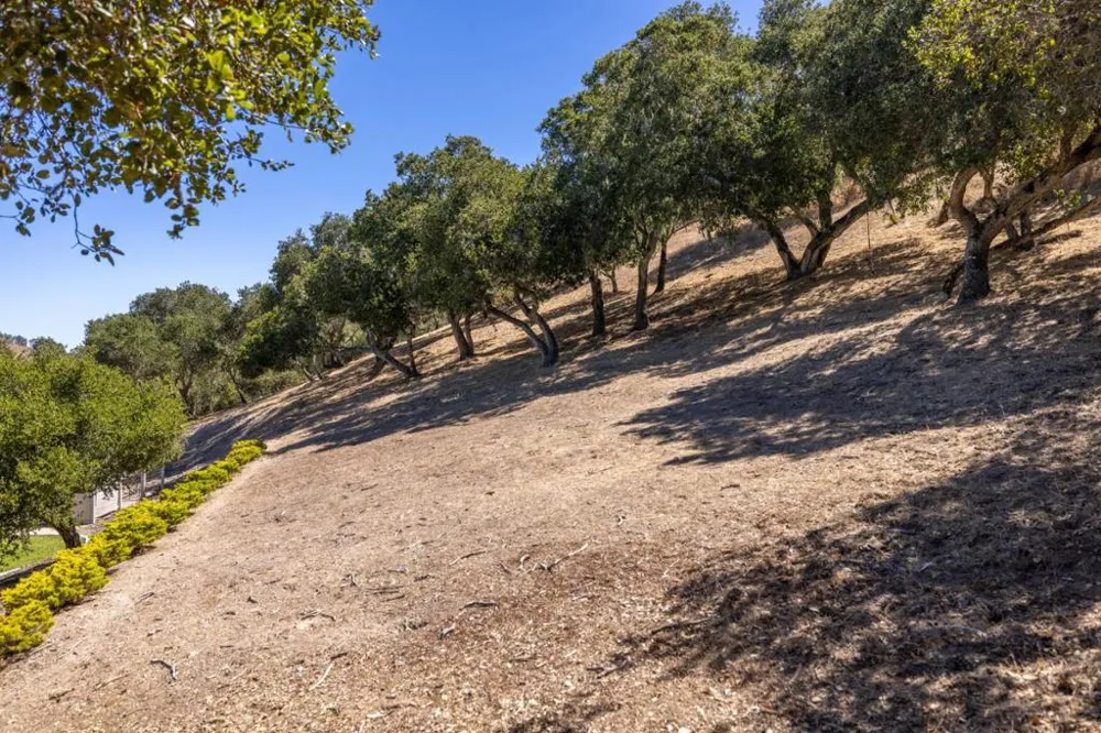 28951 Falcon Ridge Salinas, CA 93908