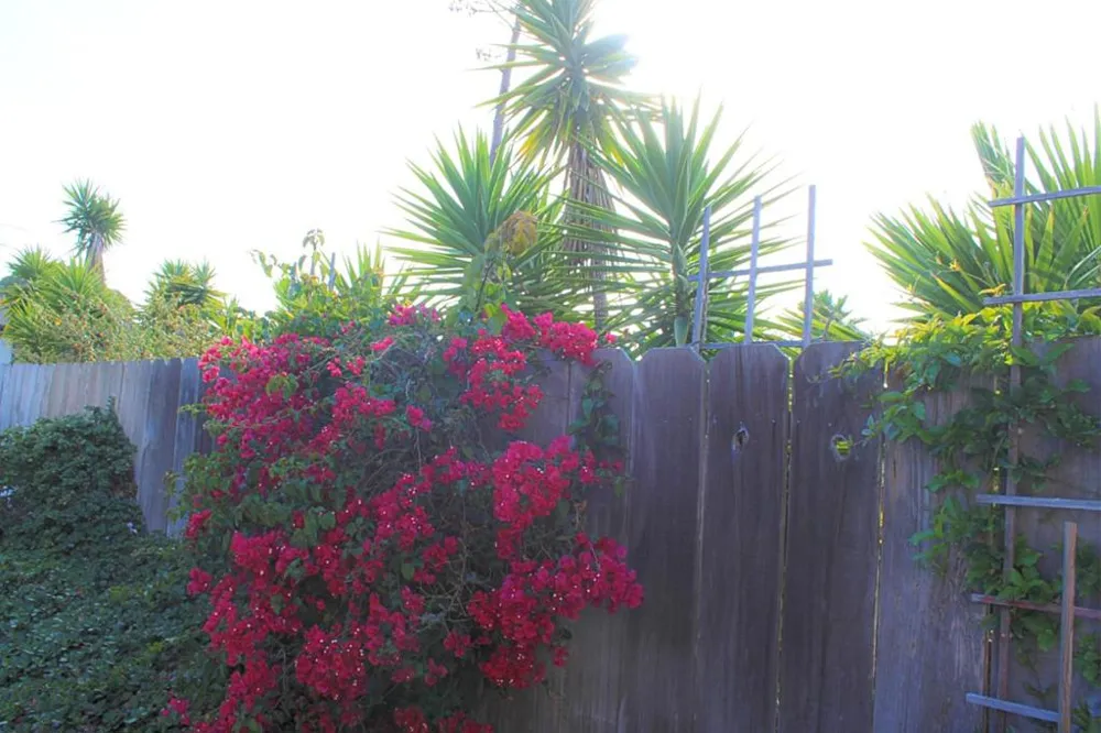 461 Dela Vina Avenue #104 Monterey, CA 93940
