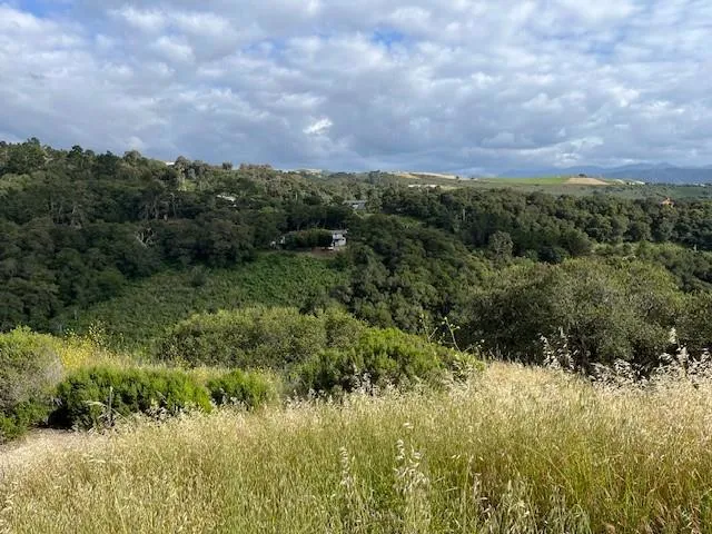 26135 Zdan Road Carmel Valley, CA 93924