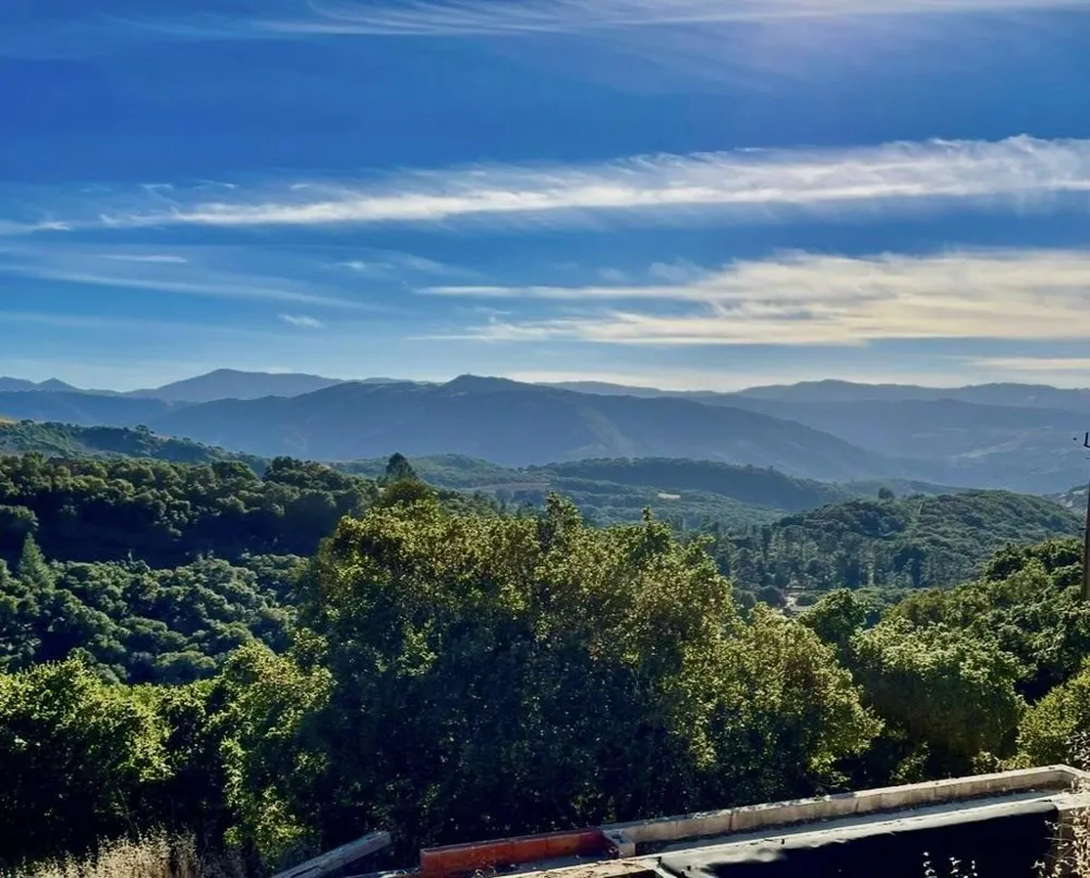 26135 Zdan Road Carmel Valley, CA 93924