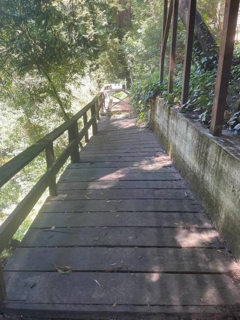 11045 Riverside Road Brookdale, CA 95007