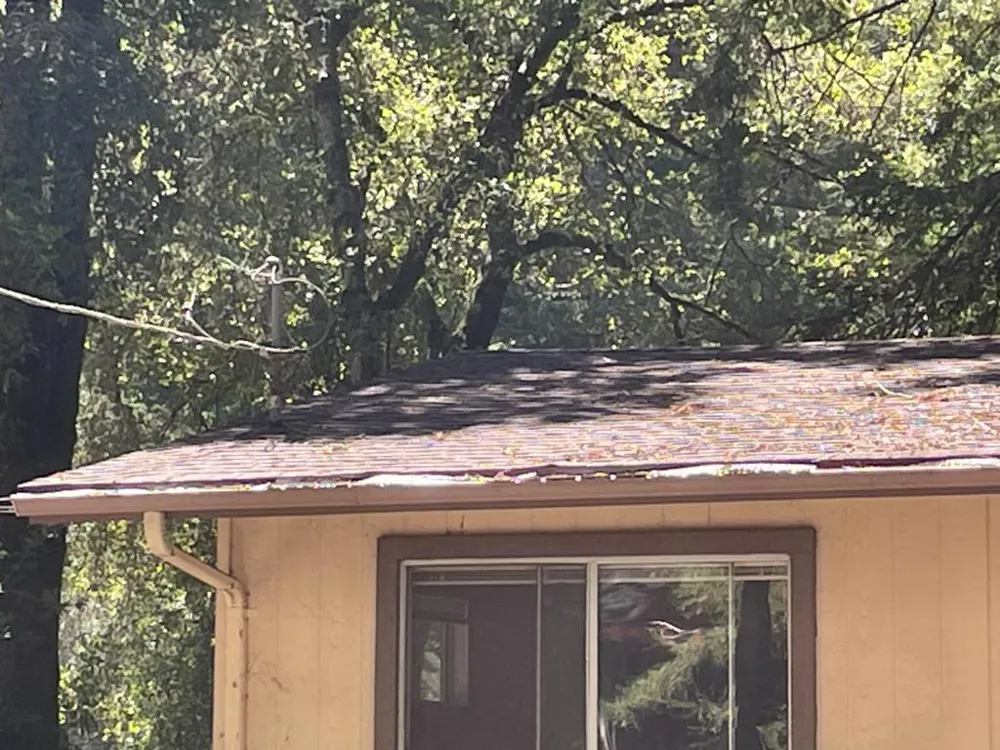 11045 Riverside Road Brookdale, CA 95007