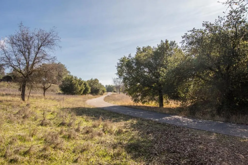 22963 Longdown Road Cupertino, CA 95014