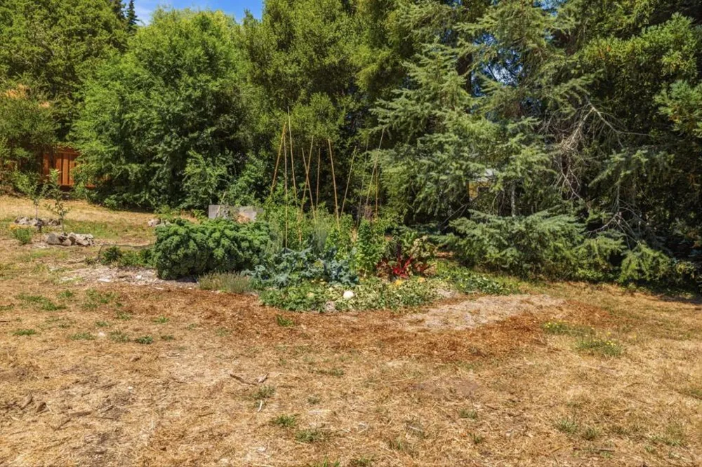 260 El Solyo Heights Drive Felton, CA 95018