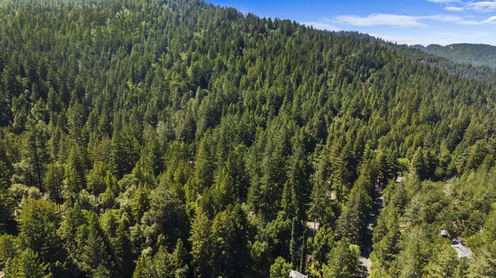 8400 Tyrone Road Occidental, CA 95465