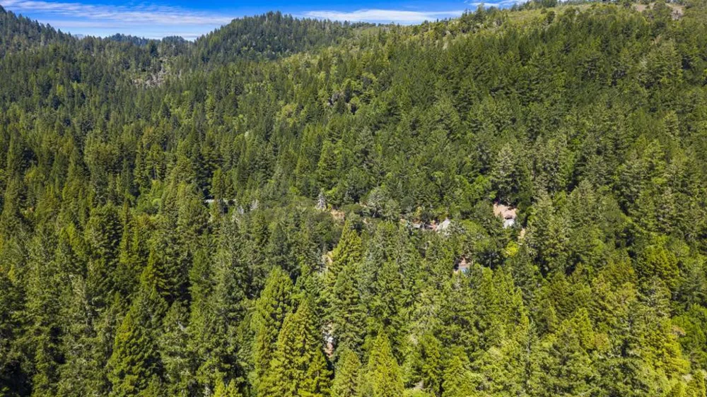 8400 Tyrone Road Occidental, CA 95465