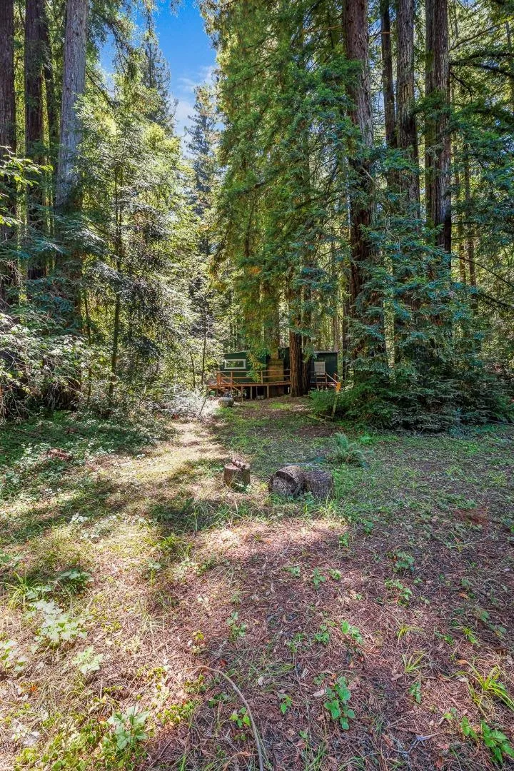 8400 Tyrone Road Occidental, CA 95465