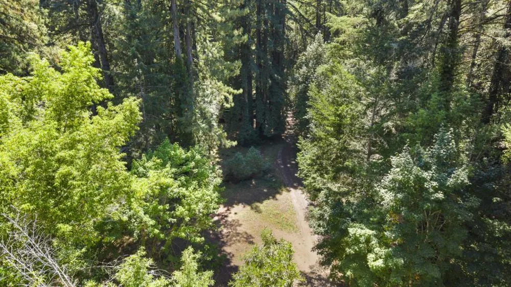 8400 Tyrone Road Occidental, CA 95465