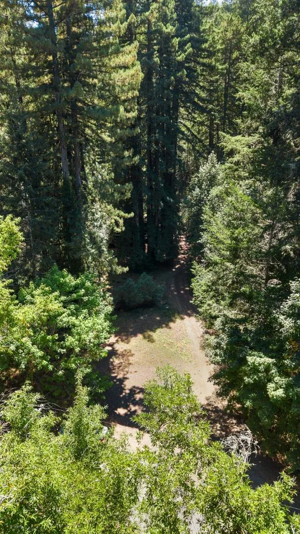 8400 Tyrone Road Occidental, CA 95465