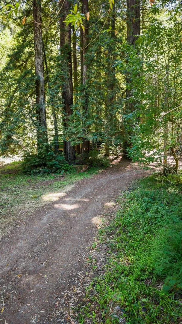 8400 Tyrone Road Occidental, CA 95465