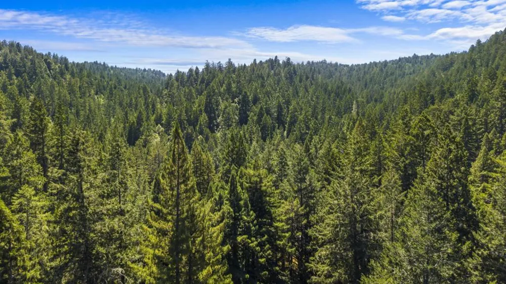 8400 Tyrone Road Occidental, CA 95465