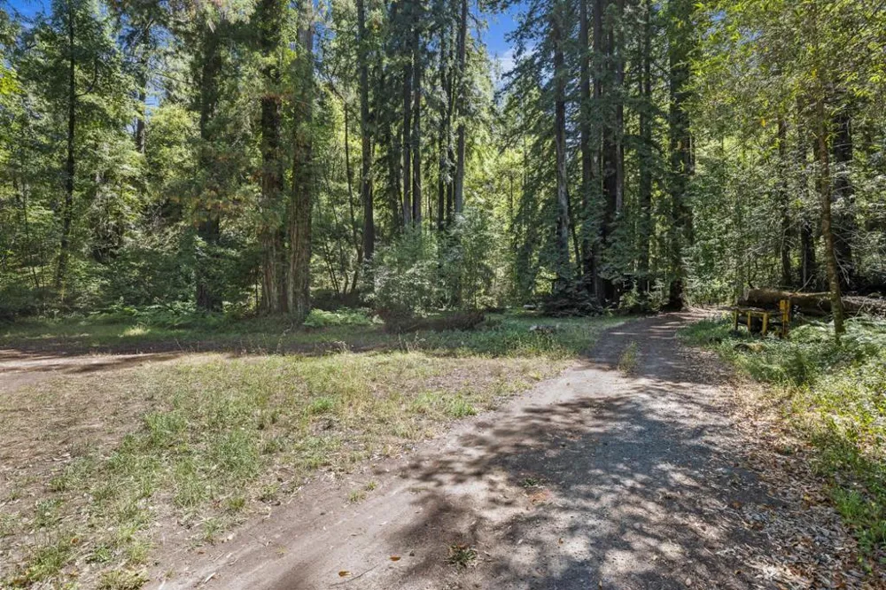 8400 Tyrone Road Occidental, CA 95465