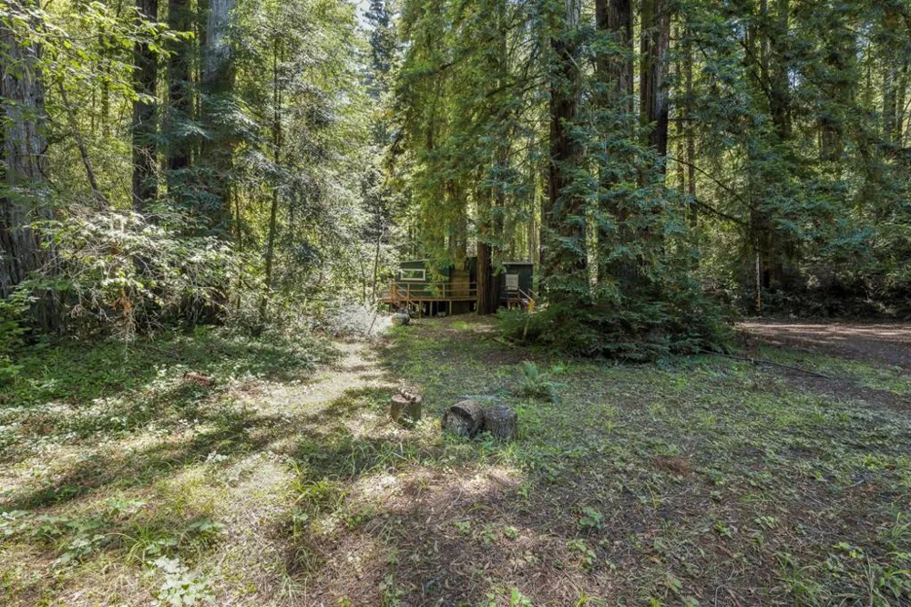 8400 Tyrone Road Occidental, CA 95465