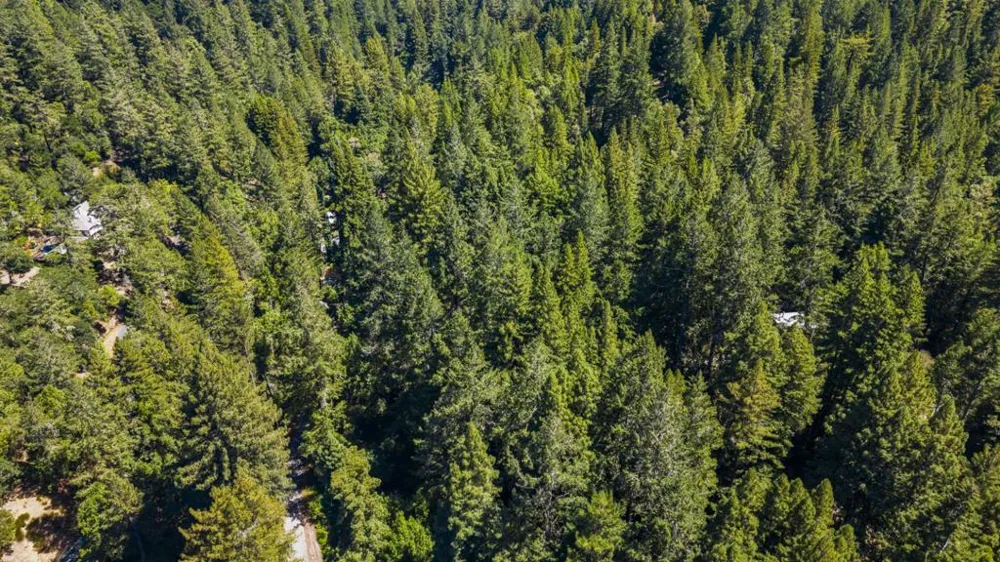 8400 Tyrone Road Occidental, CA 95465