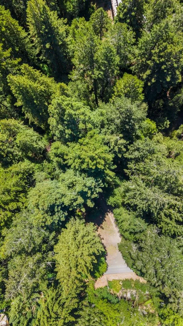 8400 Tyrone Road Occidental, CA 95465