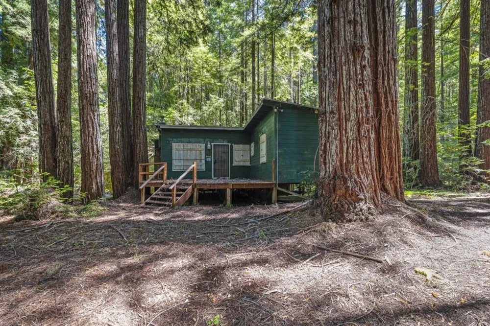 8400 Tyrone Road Occidental, CA 95465