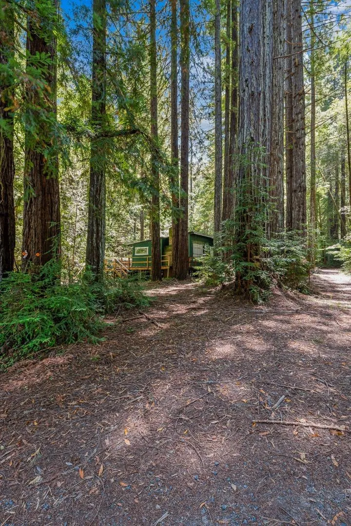 8400 Tyrone Road Occidental, CA 95465